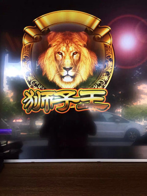 运城狮子王12门带庄闲和游戏机厂家图片_高清图_细节图-广州市番禺区东环雅慧立化妆品店 -